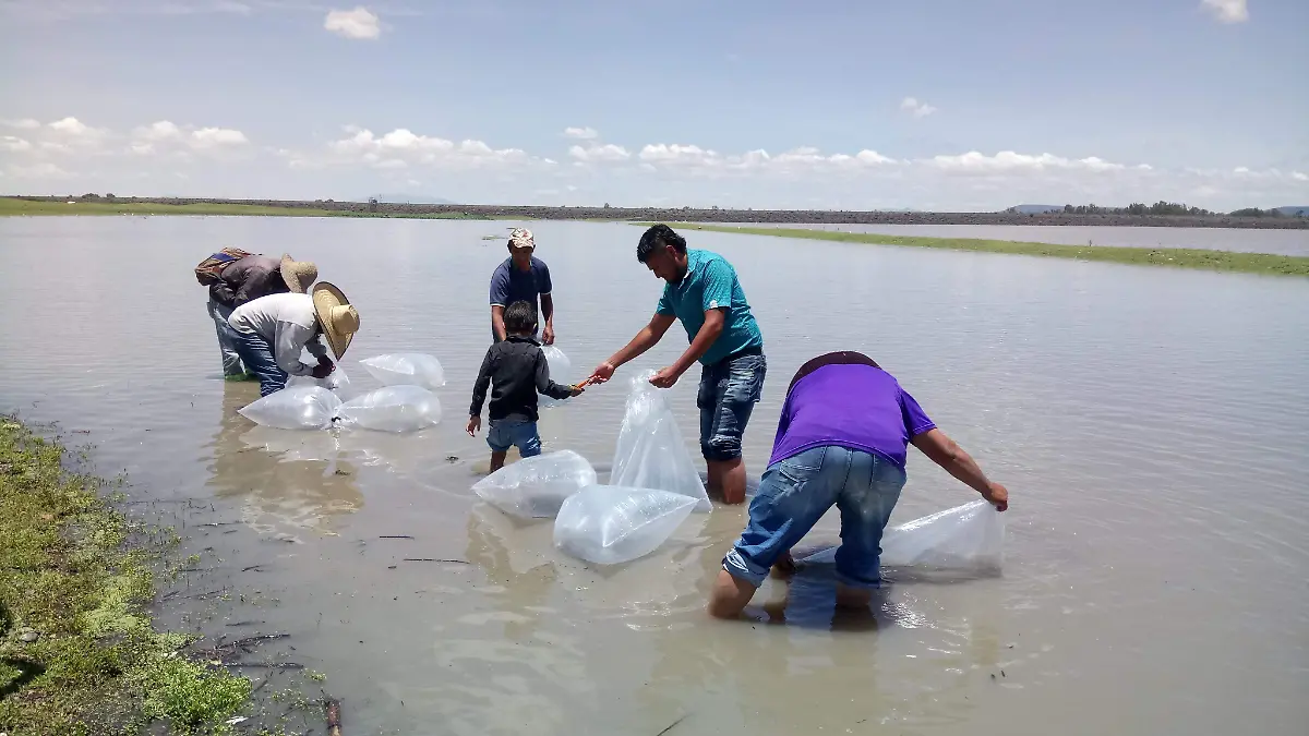 SJR Los pescadores